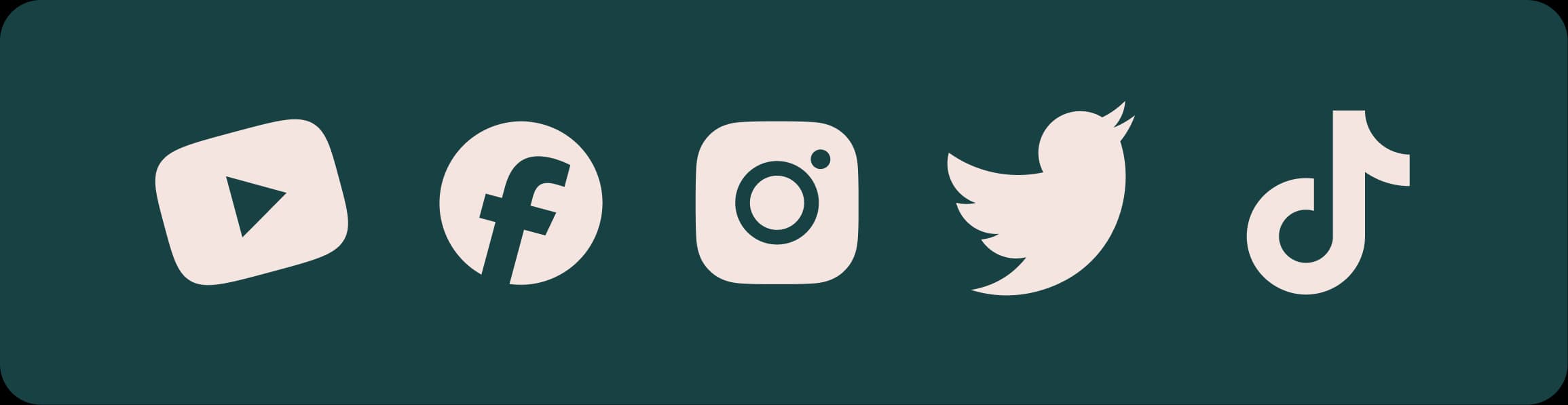 Video Downloader Preview